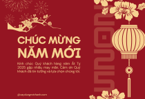 Ưu Đãi Chào Xuân 2025